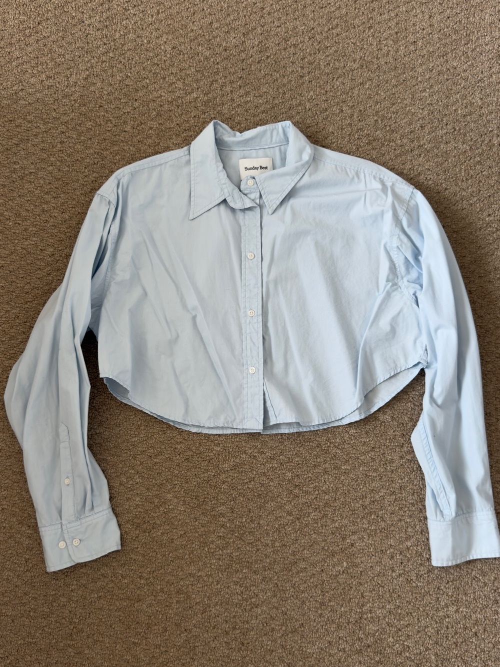 Aritzia Sunday Best Light Blue Cropped Button-Up Shirt